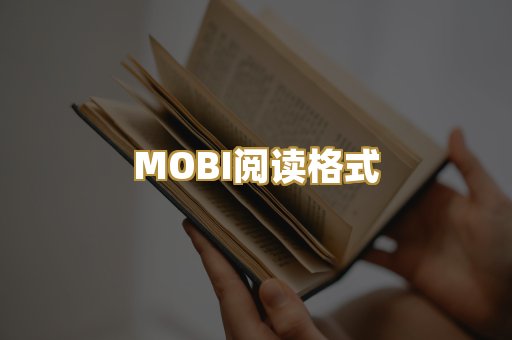 MOBI阅读格式
